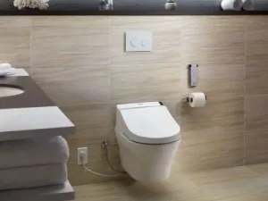 bồn cầu 1 nắp