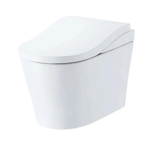 Bồn cầu thông minh