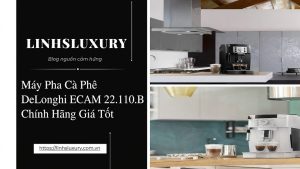 máy pha cà phê delonghi ecam 22.110.b
