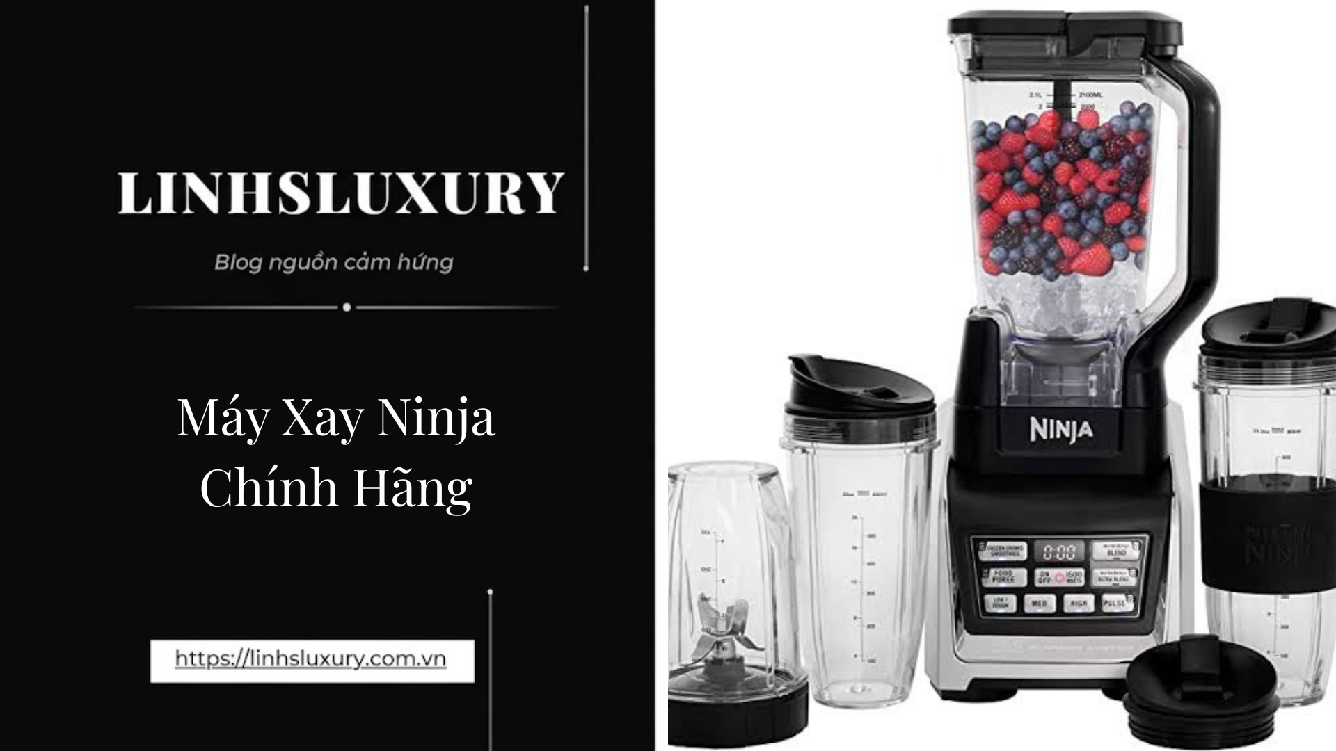 Máy Xay Ninja Chính Hãng | Linh's Luxury
