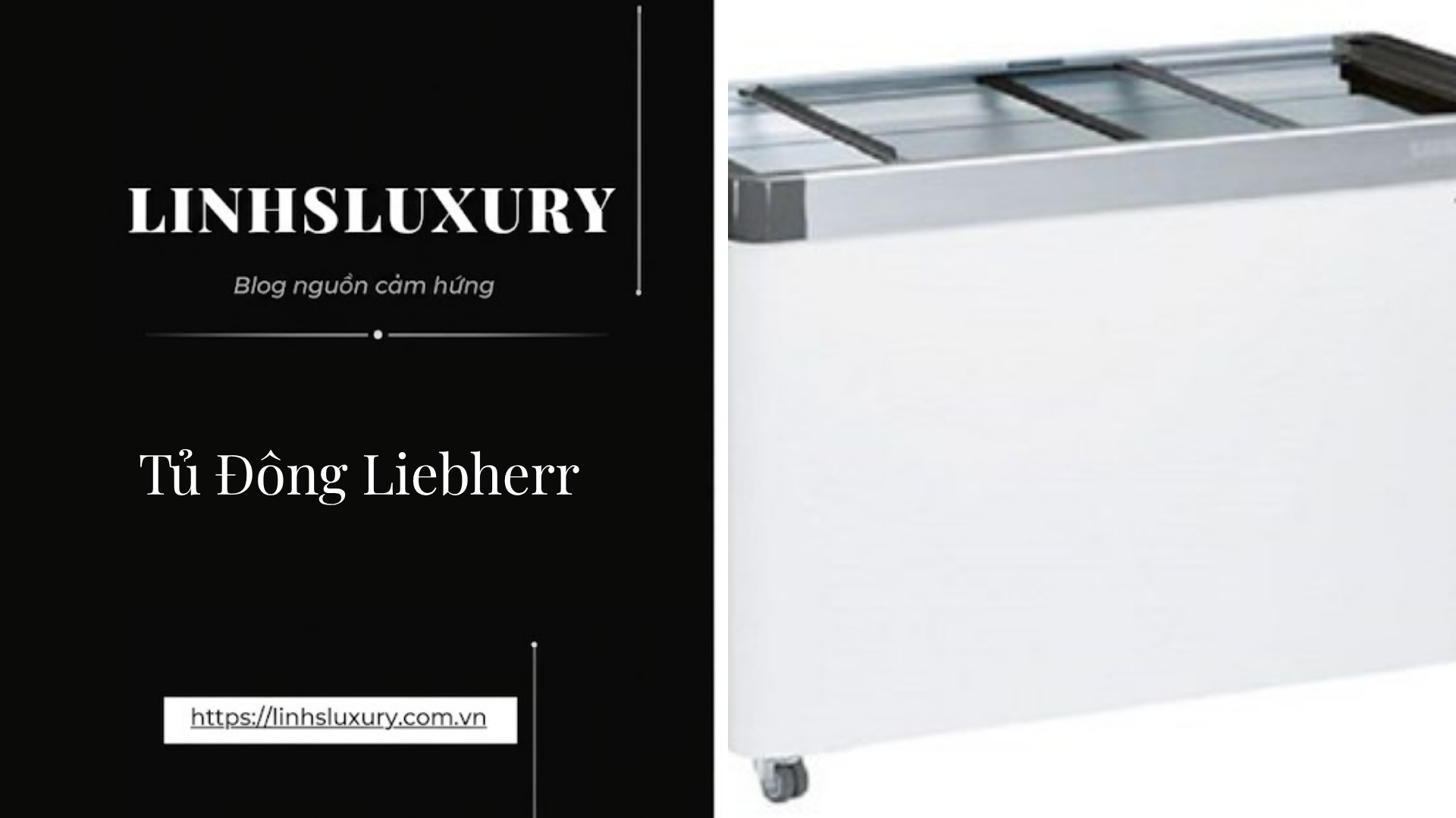 Tủ Đông Liebherr | Linh's Luxury